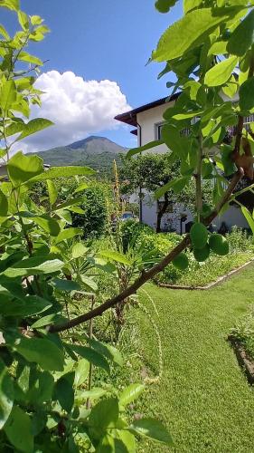 Appartment Lodged Mamma Maria — 4-Star Luxury Hotel in Mattarello, Italy