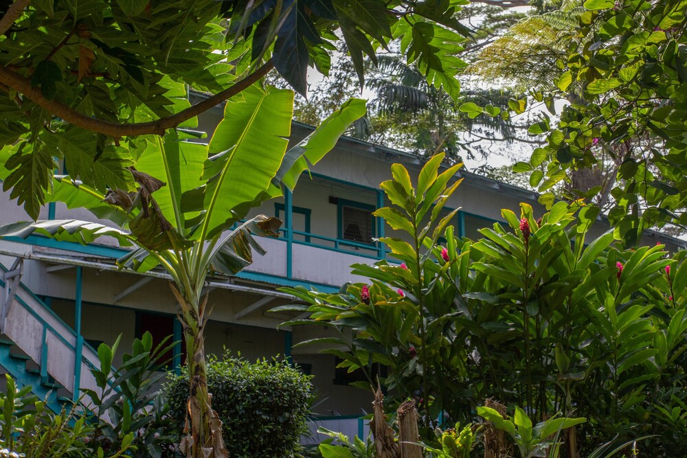 Wild Ginger Inn Hotel - photo 44
