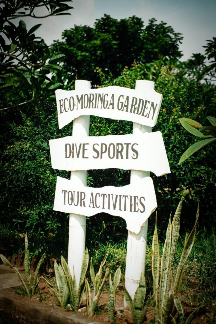 Eco Moringa Garden - carbon neutral hotel in Bali