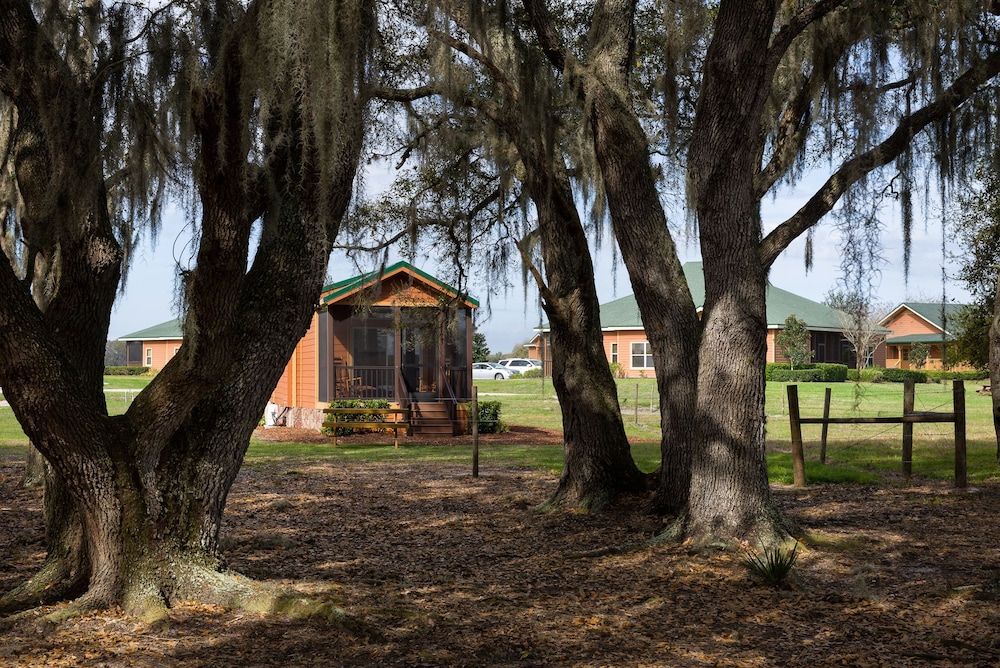 Westgate River Ranch Resort & Rodeo - photo 8