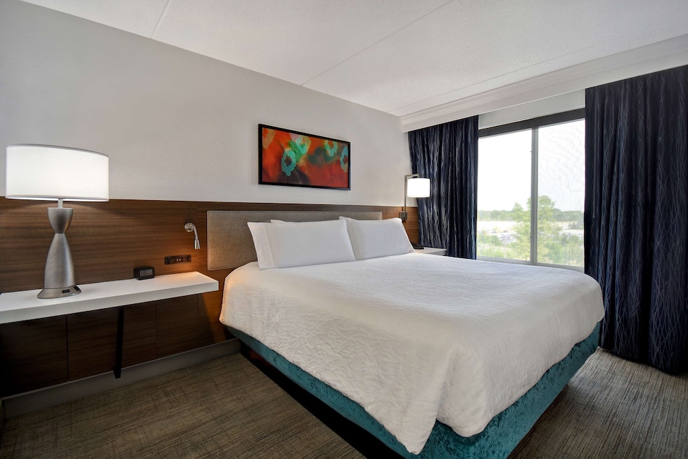 Hilton Garden Inn Detroit Metro Airport - photo 23