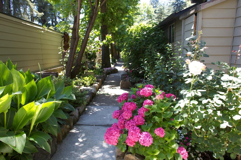 Cottages on River Road - photo 36