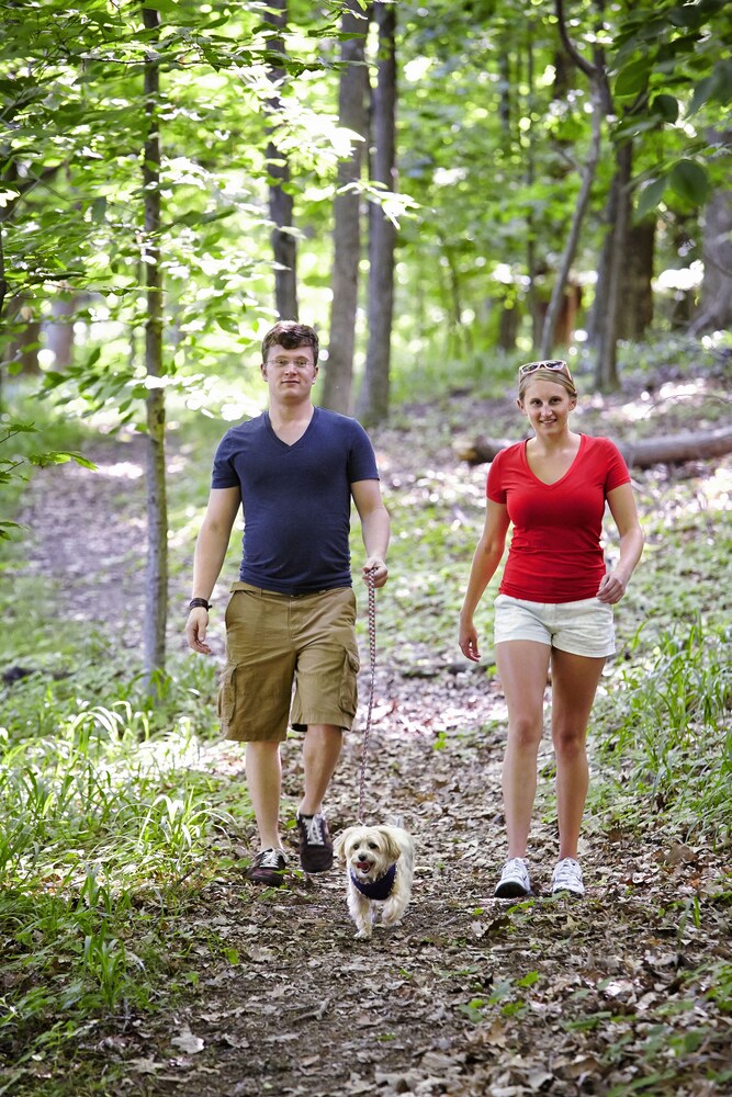 Salt Fork Lodge and Conference Center - photo 35