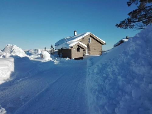 Fjellspurven — Unknown City — photo 2