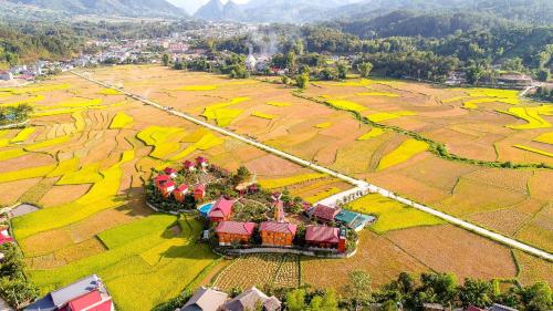 Love hill than Uyên in Unknown City, Vietnam