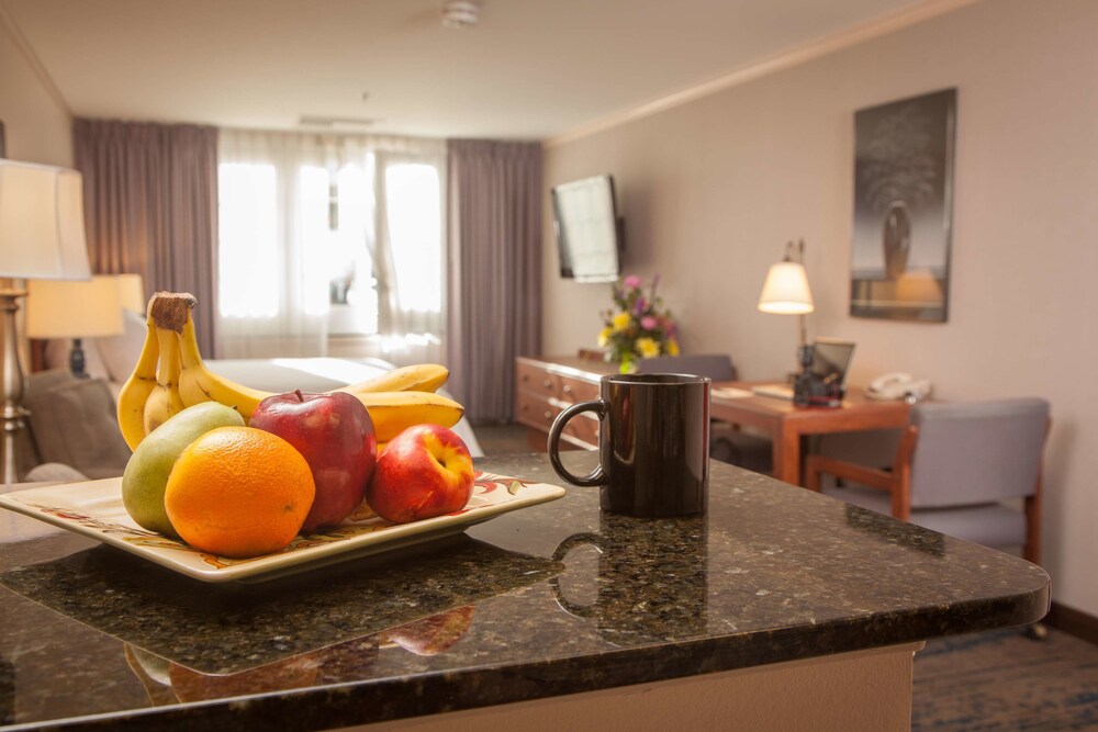 The Voyager Inn - photo 20