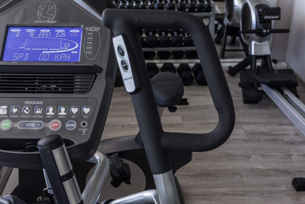 פעילויות וכושר