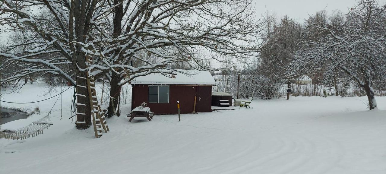 Pirts kubls Saknēs in Talsi, Latvia