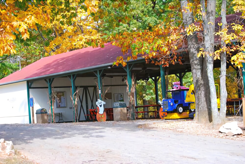 Yogi Bear's Jellystone Park Camp Resort - photo 48