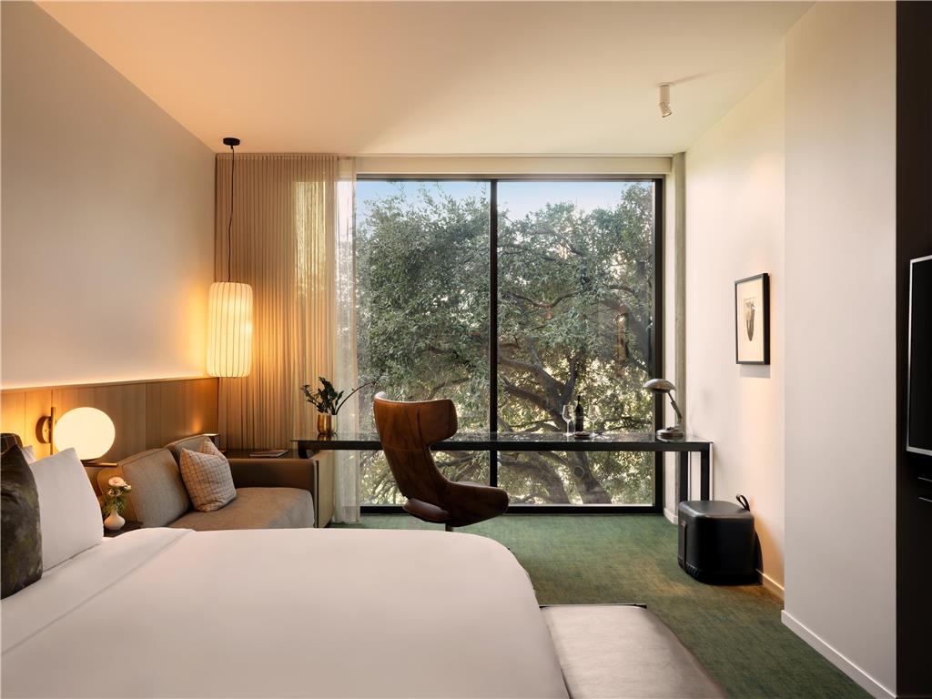 The Loren Hotel Austin - photo 26