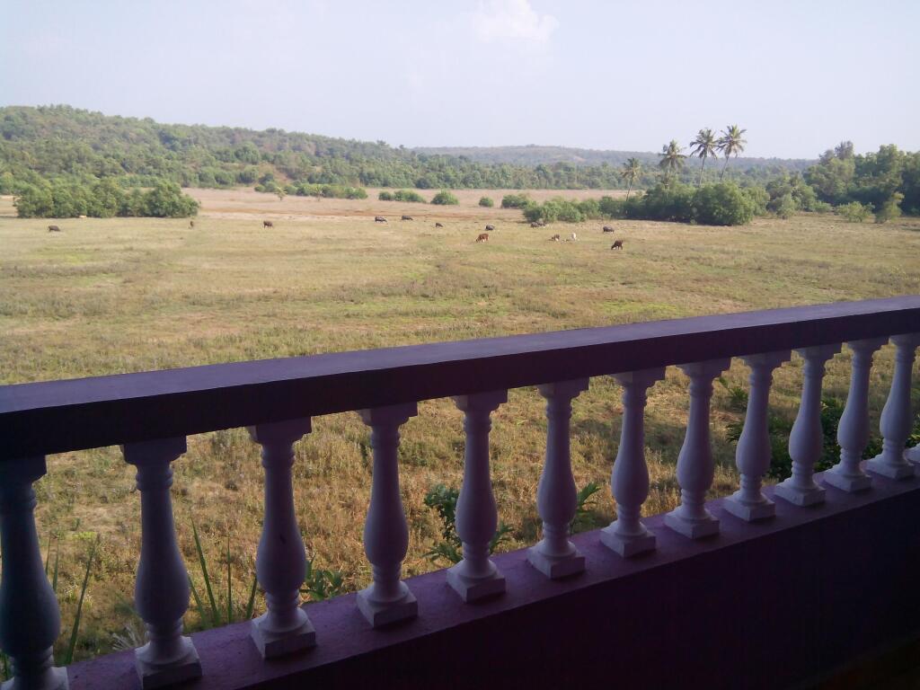 Luianna Resort in Canacona, India