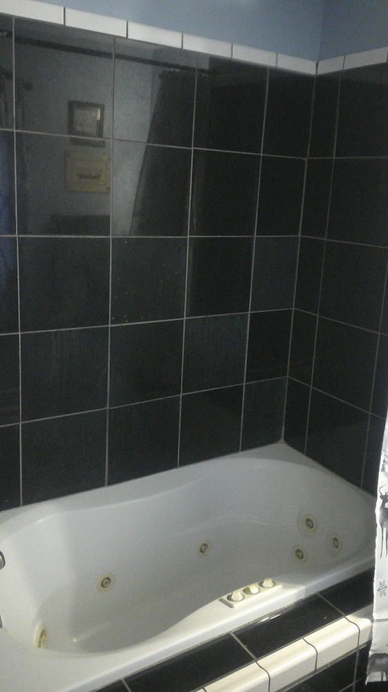 Lil Black Bear Inn - photo 105