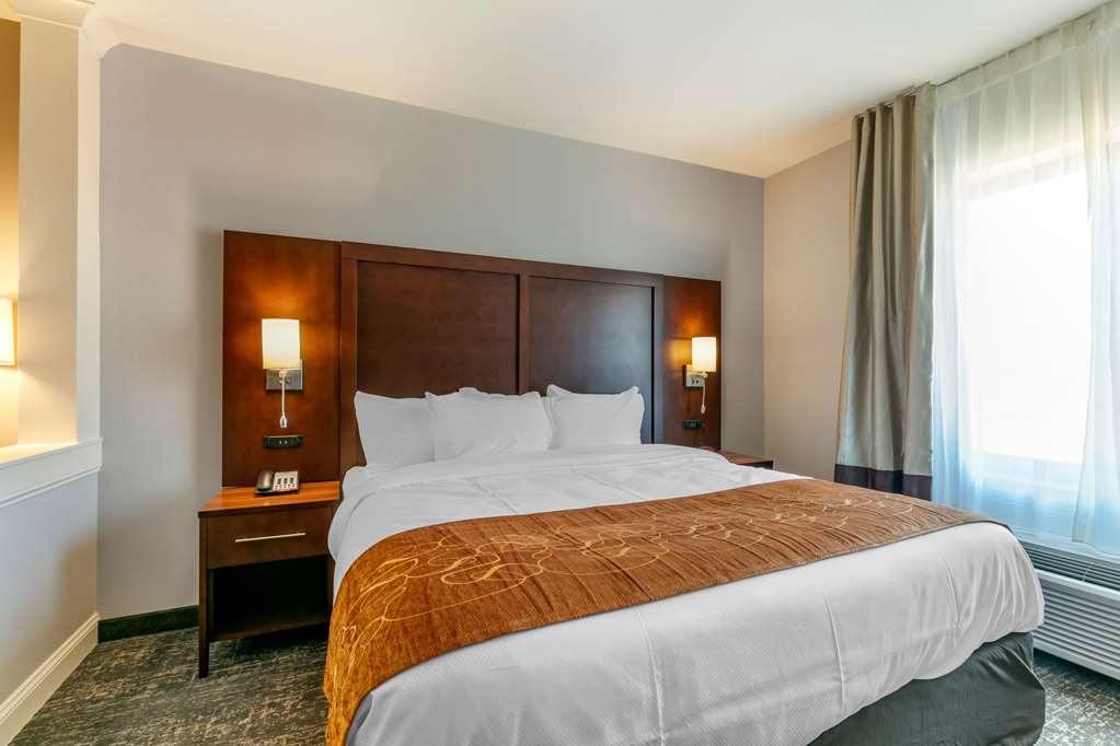 Comfort Suites North Tupelo - photo 15