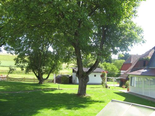 Nussbaum — Uberlingen — photo 3