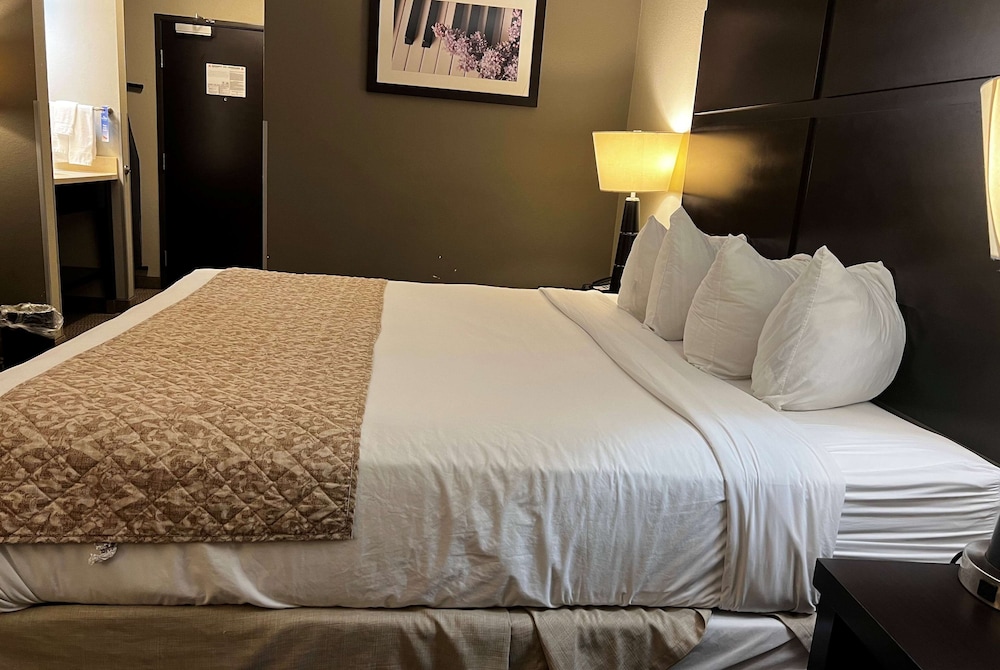 Baymont by Wyndham College Station - photo 13