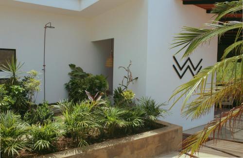 Waves & Wifi Coworking & Coliving Space in Popoyo in Unknown City, Nicaragua