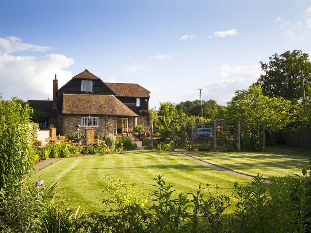 Magpies in Horsham, United Kingdom