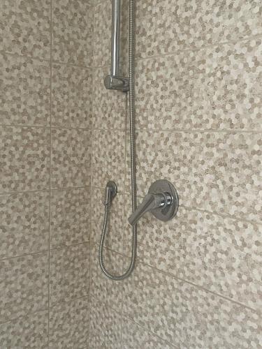 Rory House — Pontecorvo — photo 3