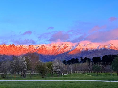 Glamping Dome Rosé in Cromwell, New Zealand