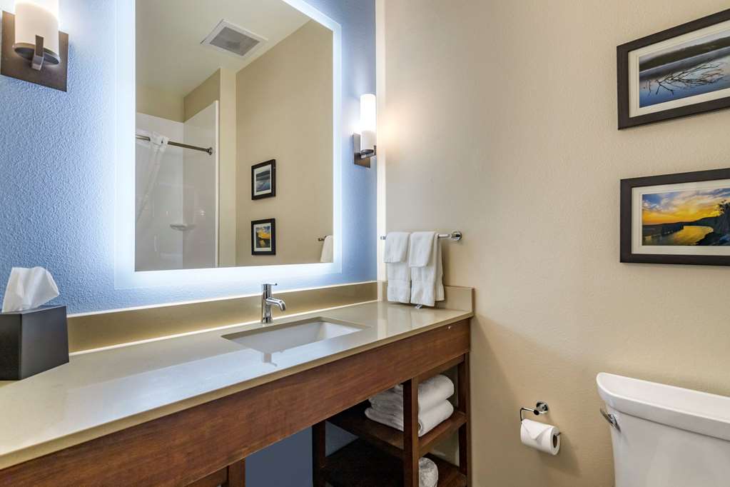 Comfort Suites Cedar Park Austin Northwest - photo 15