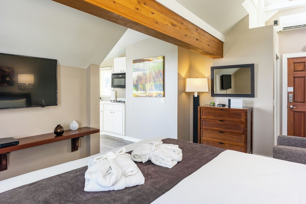 Bird Rock Hotel - photo 27