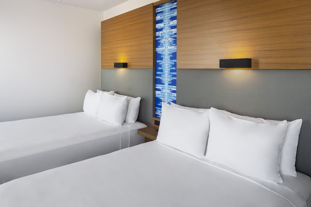 Aloft Tempe - photo 6
