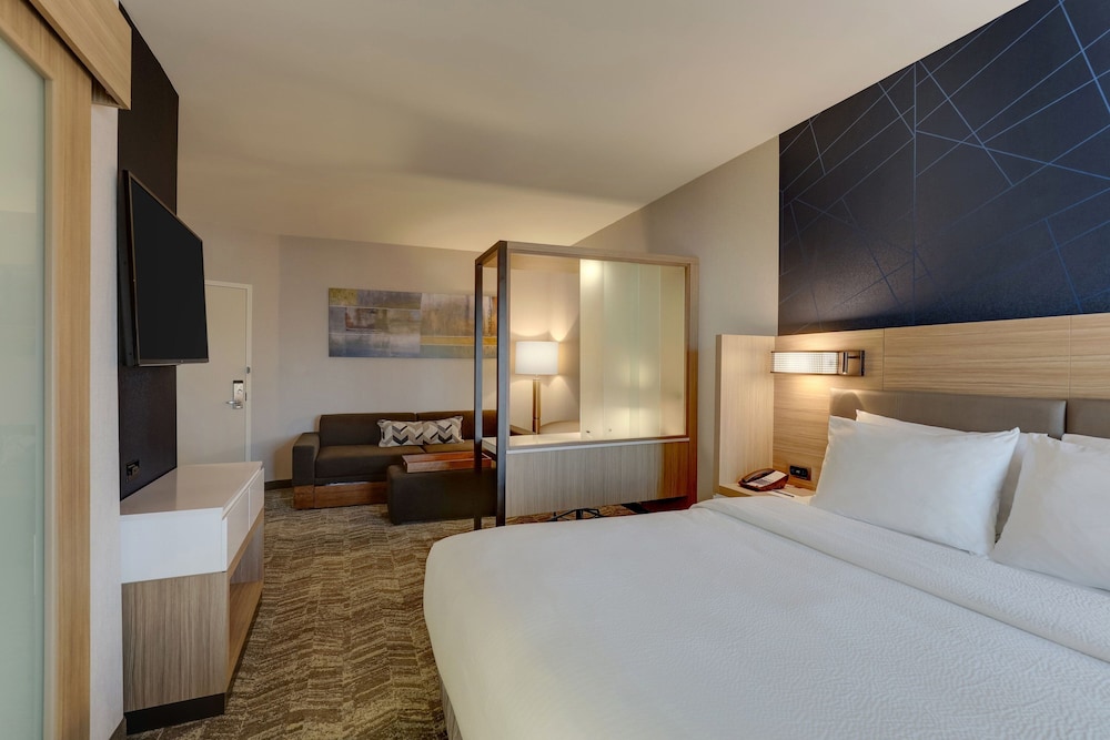 SpringHill Suites by Marriott Cheraw - photo 14