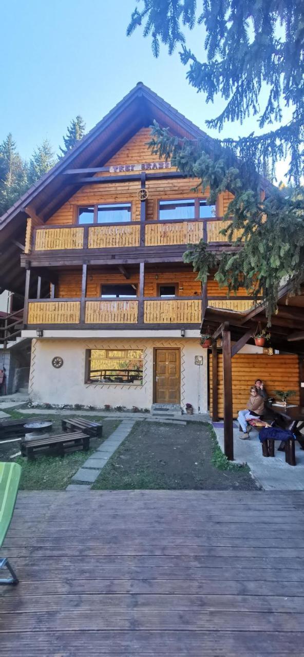Cabana Trei Brazi Retezat in Rau De Mori, Romania