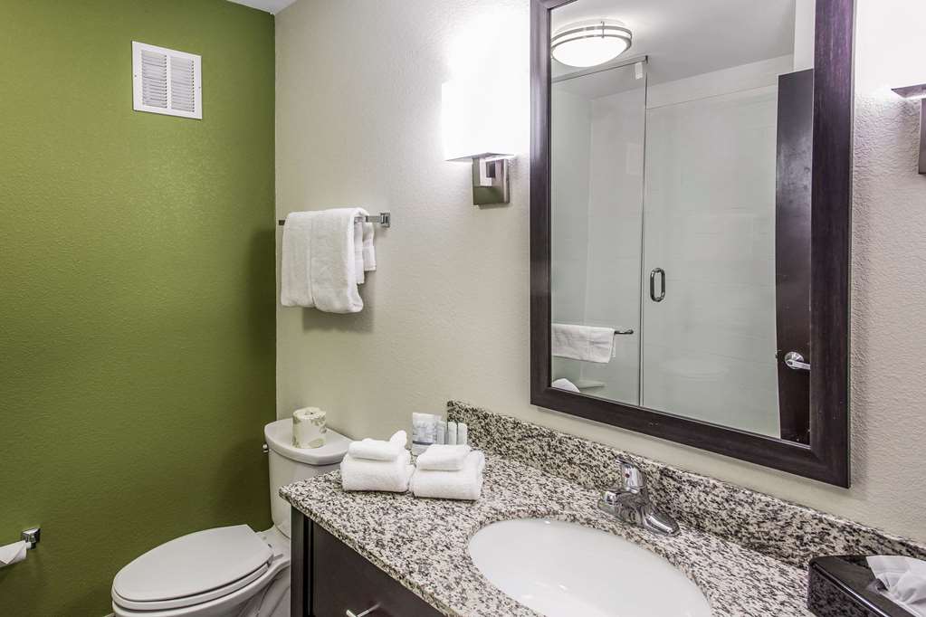 Sleep Inn & Suites Dayton South - photo 16