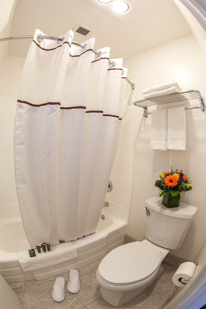 Hotel Focus Sfo - photo 14
