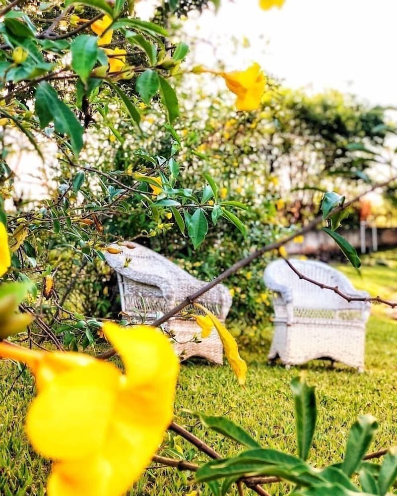 Pousada Chácara Sonho - last minute hotel in Campinas