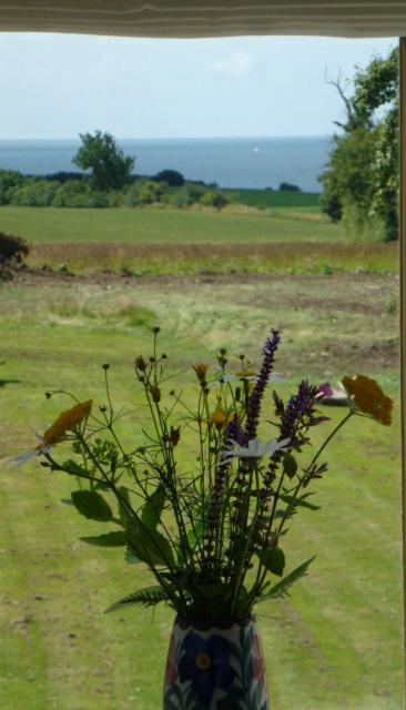 Søndergård in Unknown City, Denmark