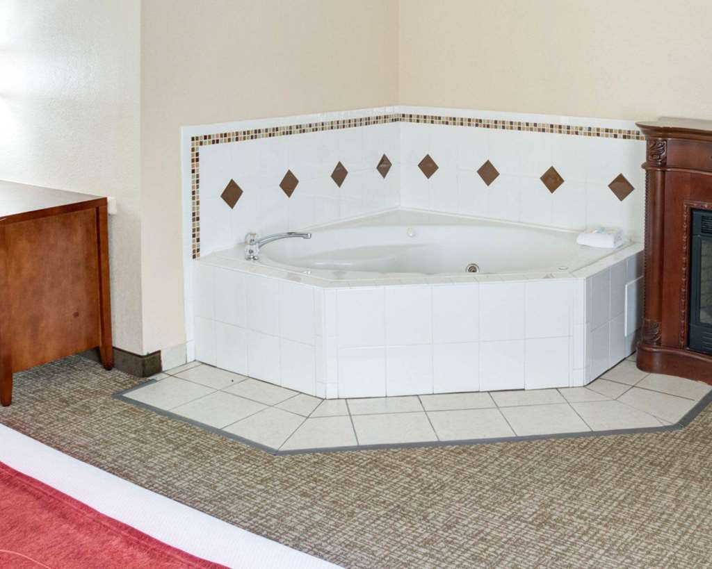 Comfort Suites Omaha Northwest - photo 20