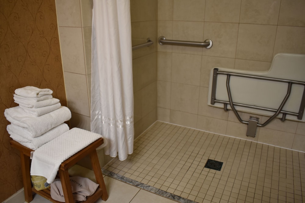 DoubleTree by Hilton Asheville Biltmore - photo 54