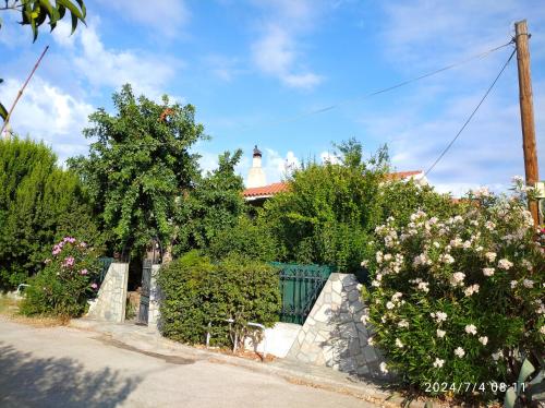 The Lemon House by The Sea — 4-Star Luxury Hotel in Ayioi Apostoloi, Greece