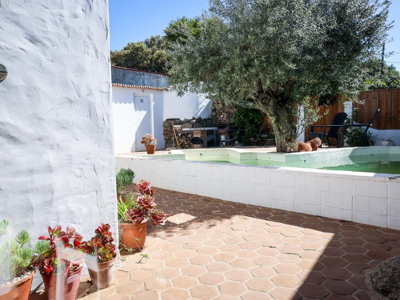 Estrela Do Corval in Reguengos De Monsaraz, Portugal