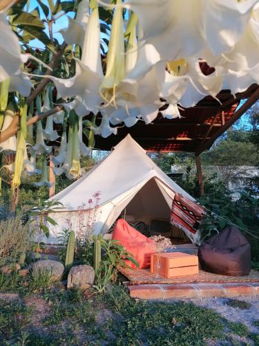 Pishku Wasi - last minute hotel in Quito
