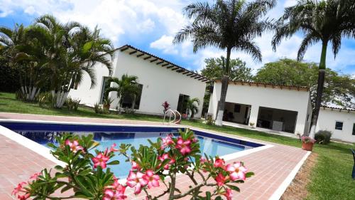 La Donna in Palmira, Colombia