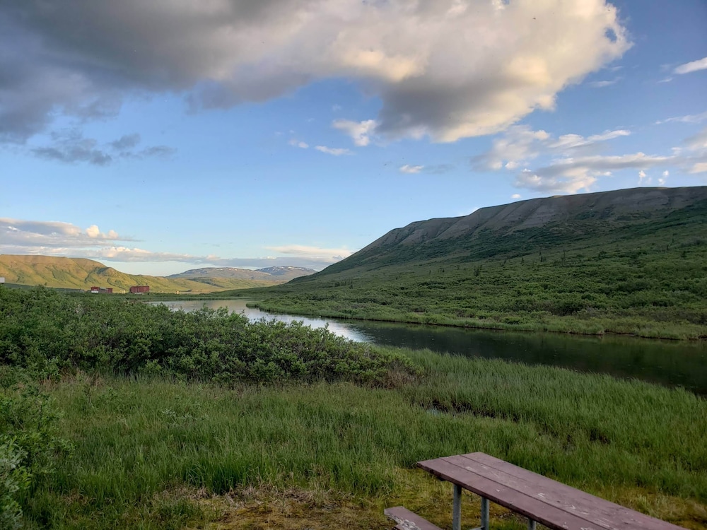 Denali Wild Stay - photo 61