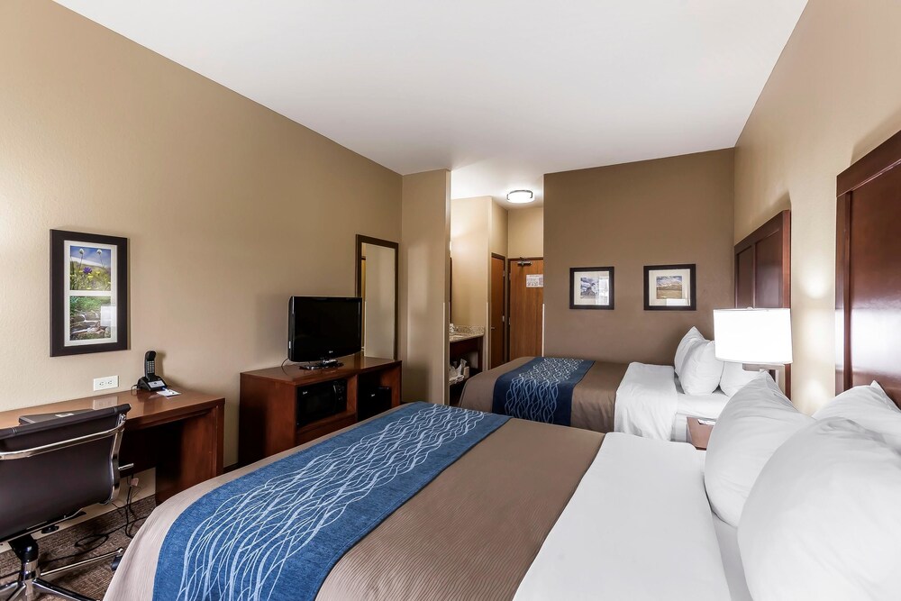 Comfort Inn & Suites Near University of Wyoming - photo 11