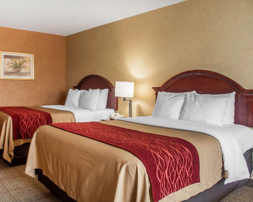 Quality Inn Near Walden Galleria Mall - photo 9