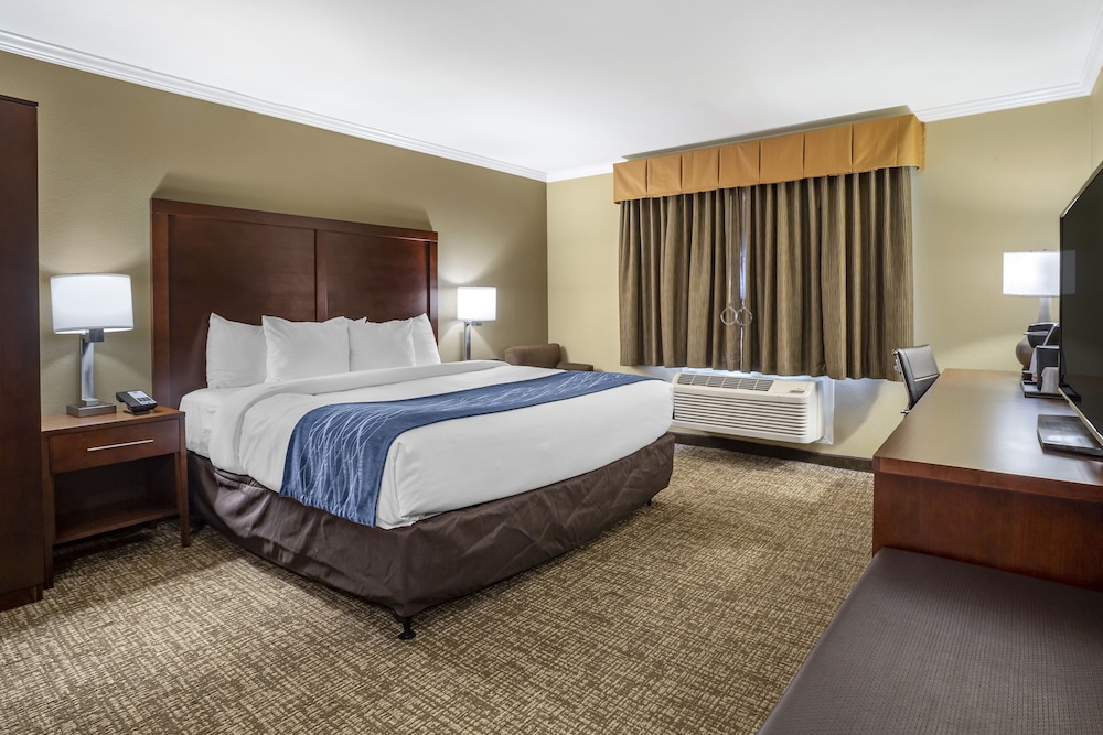 Comfort Inn Sunnyvale Silicon Valley - photo 20