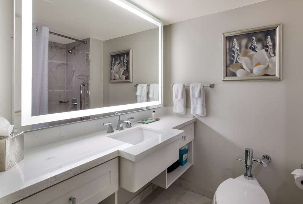 The Royal Sonesta New Orleans - photo 41