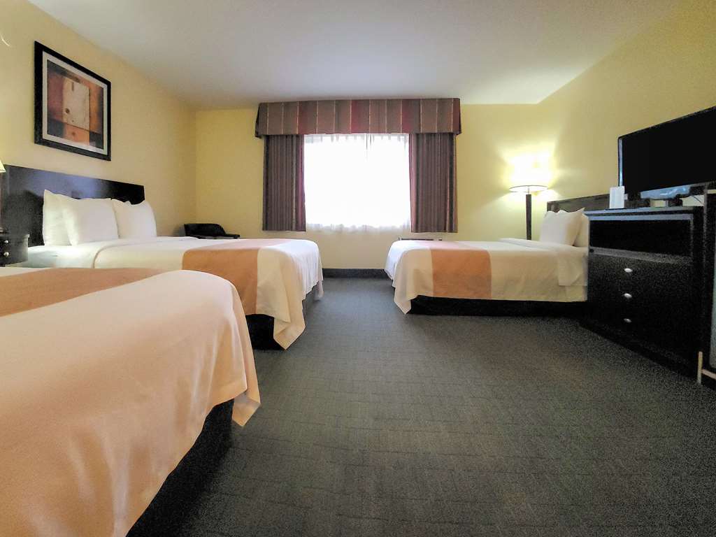 Quality Inn & Suites Anaheim At The Park - photo 11