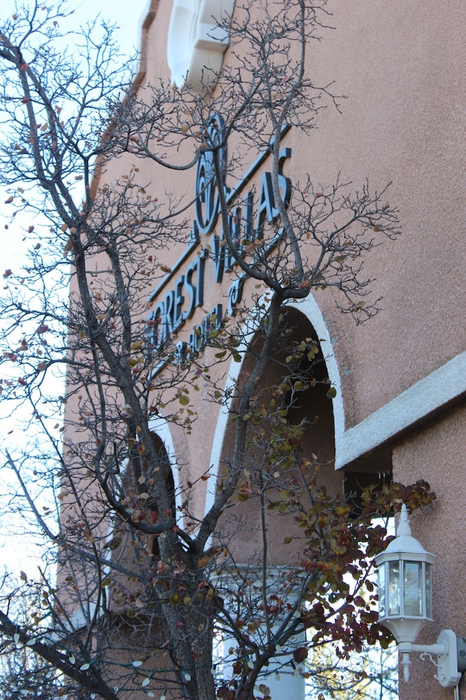 Forest Villas Hotel Prescott - photo 109