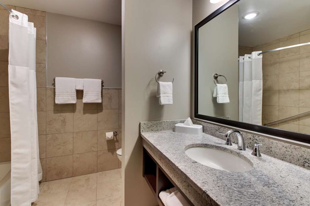 Drury Plaza Hotel Dallas Richardson - photo 44