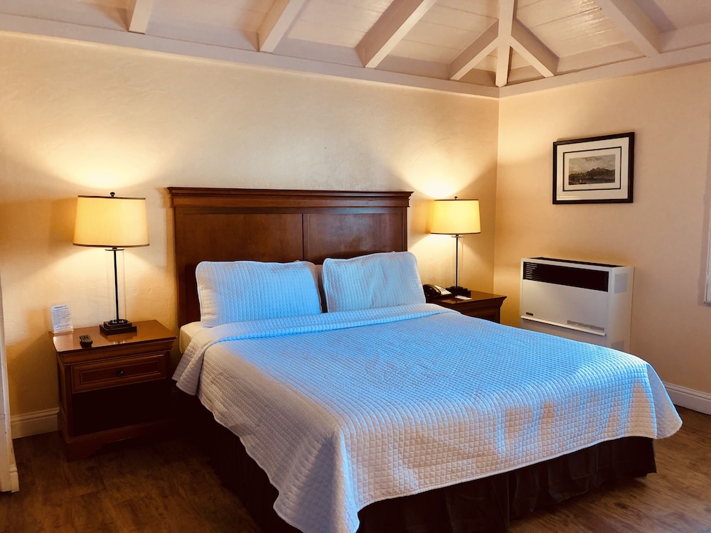 Carmel Resort Inn - photo 8