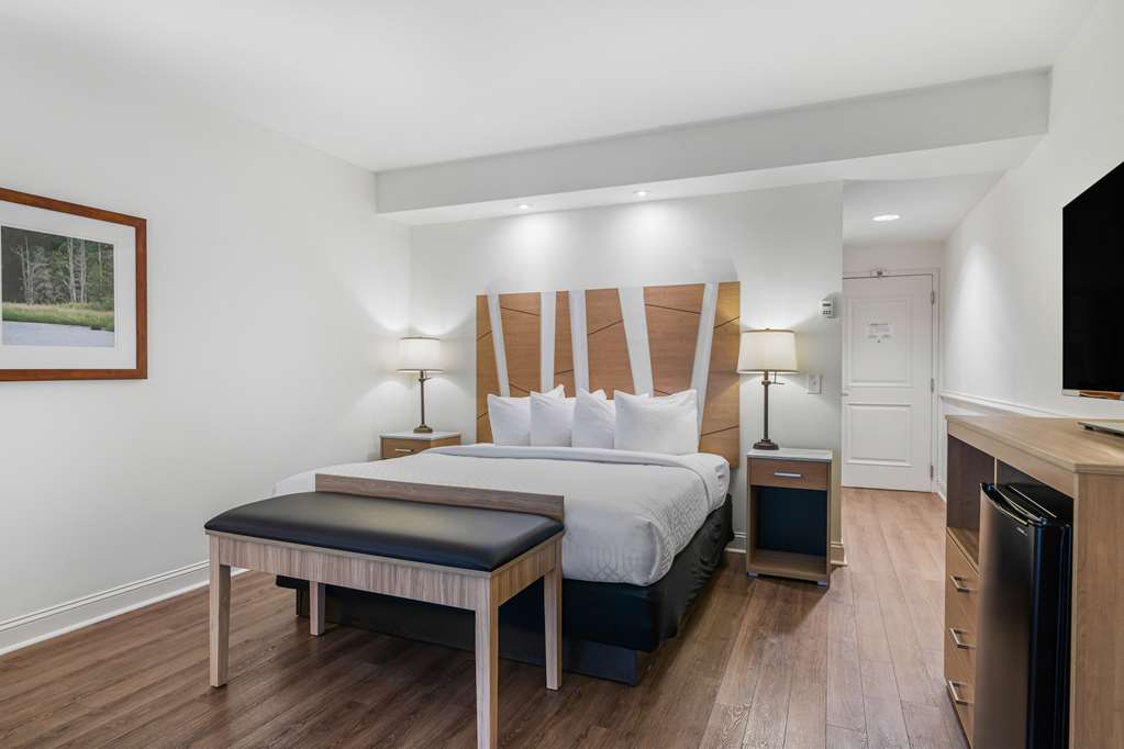 Best Western Plus Westgate Inn & Suites - photo 22