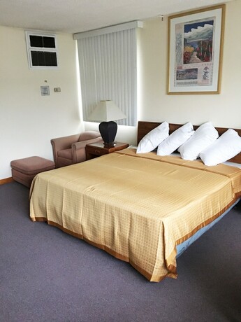 Village Motel - photo 7