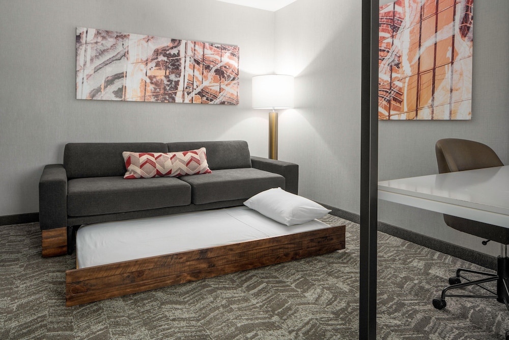SpringHill Suites by Marriott Raleigh Apex - photo 10